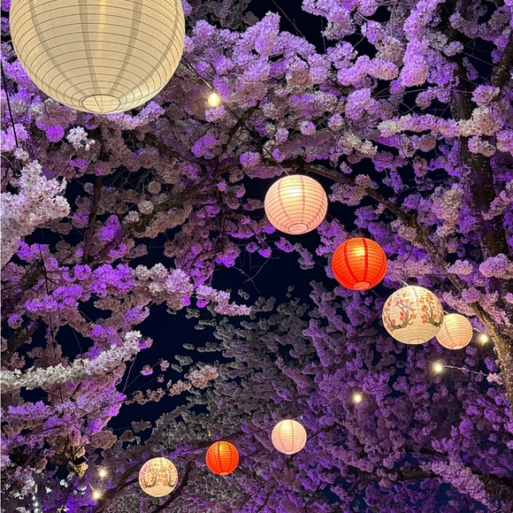 Meet your posher! - Picture 3 of 4